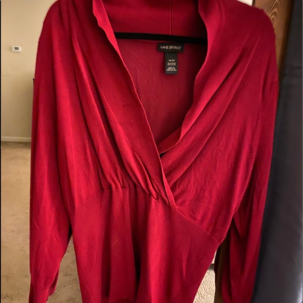 Red Fitted Sweater.